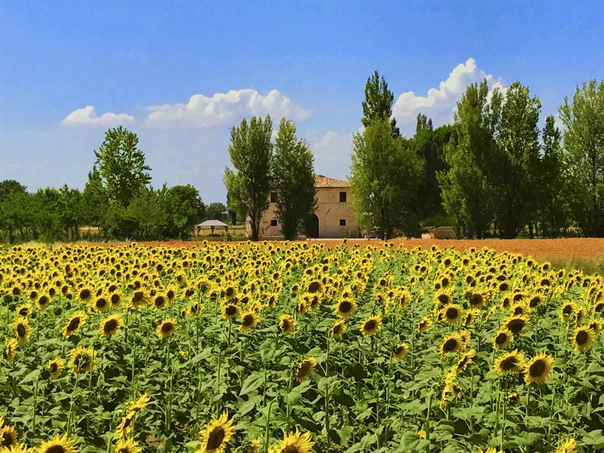 Villa Licinia Foligno Exterior foto